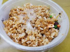 -六广门毛阿姨糯米饭