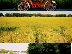 -嘉北郊野公园