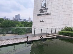 -行者书屋大堂吧 ·下午茶(南京圣和府邸酒店)