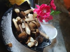 -探窝·竹笙椰子鸡(杨箕店)