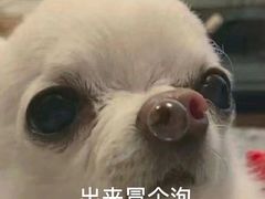 -老炉家木炭烤肉(长江国际店)
