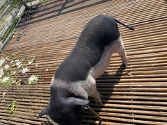 -小鱼草莓采摘园农家乐·小鱼餐厅