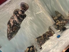 -牛村来人潮汕牛肉火锅(西单店)