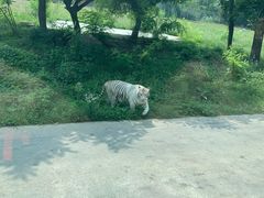-西安秦岭野生动物园