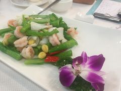 -蒲园食堂(中山大学广州校区南校园店)