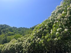 -秦岭终南山世界地质公园翠华山景区