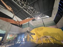 -湖南省地质博物馆