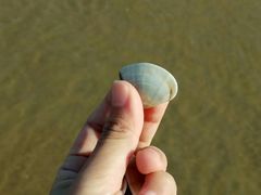 -六鳌翡翠湾滨海度假景区