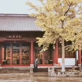 三评西湖十景｜钱王祠（钱祠表忠秋季）
