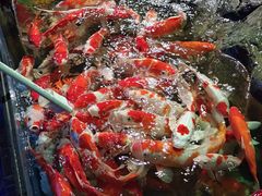 -太平洋海底世界