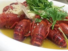 -新日月育才大酒店-中餐厅(环城北路店)