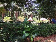 -海南热带野生动植物园