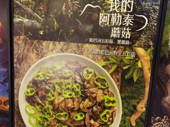 -龟兹KUCINA·新疆菜(前滩L+PLAZA店)