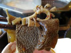 -蜀香居鲜毛肚火锅