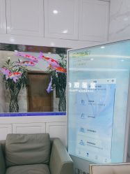 -金圣医疗美容