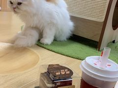 -猫和宫(六道口店)