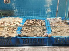 -曼格活海鲜·牛排自助(光明蓝鲸店)
