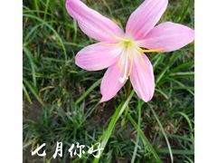 -Auco游咖.咖啡(清吟街店)