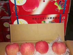 -乐乐鲜果水果超市(河北店)