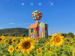 -苏州太湖西山岛开心农场