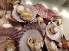 -星伦多自助料理·涮烤一体(嘉兴八佰伴店)