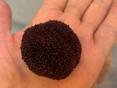 -盒马鲜生(189购物中心店)