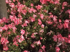 -锦绣大地生鲜食品厅