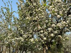 -元大都城垣遗址公园