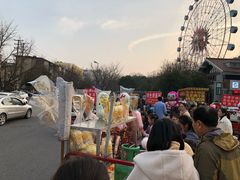-赭山公园