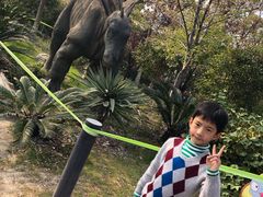-自然谷恐龙园