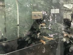 -PETKIT小佩宠物(昭化店)