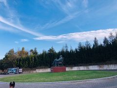 -上海海湾国家森林公园