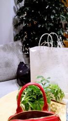 点击看大图 android_upload_pic-CARR SALON