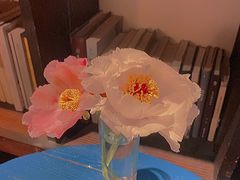 -凡人&庄阿姨的辣(万寿亭店)