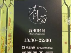 -有喵·猫咖·狗咖·30几只猫10只小狗(岗厦店)