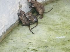 -李小龙乐园(顺德均安店)