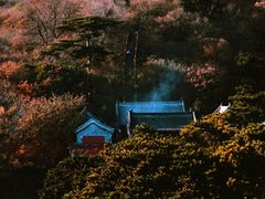 -妙峰山风景名胜区