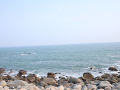-广东惠东海龟国家级自然保护区