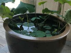 -诸暨同方豪生大酒店