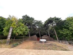 -北京西山国家森林公园