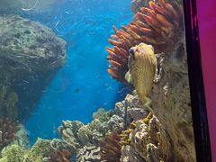 -福州罗源湾海洋世界旅游区