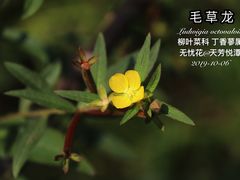 -天芳悦潭度假村温泉