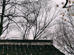 -杭州植物园