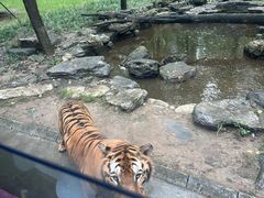 -北京野生动物园