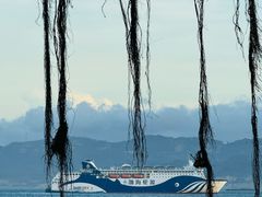 -黄金海岸环岛路
