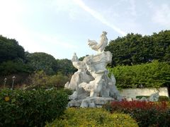 -金鸡山公园