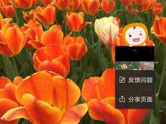 -洛阳郁金香牡丹园