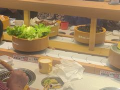 -龍歌自助小火锅(崂山丽达店)