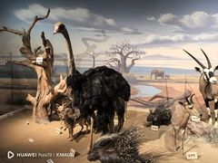 -陕西自然博物馆