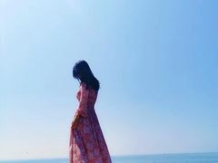-广东惠东海龟国家级自然保护区
